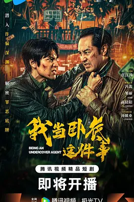 我当卧底这件事 我当卧底这件事